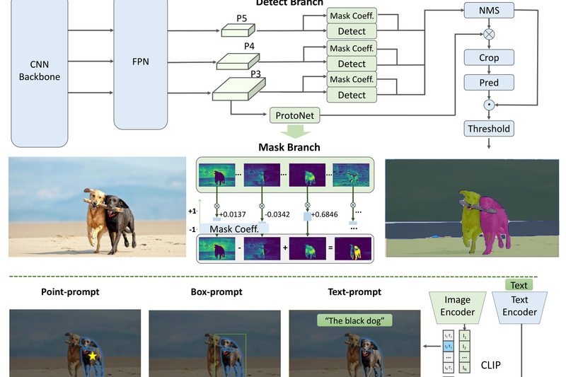 FastSAM: Real-Time Image Segmentation at 50x Speed Without Sacrificing Accuracy